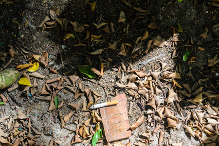 Closeup filter cigarette on the garden floor