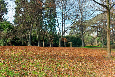 Park in Milan during fall autumn with tress and red leavesの写真素材