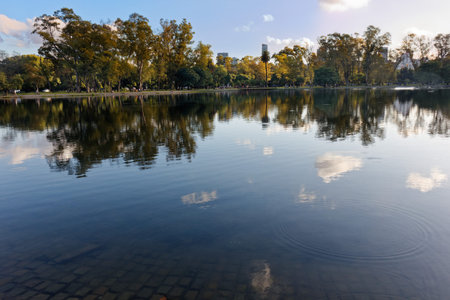 Trees andgreen  vegetation reflection on water on a lake in the city