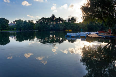 Trees and green vegetation reflection on water in a lake in the cityの写真素材
