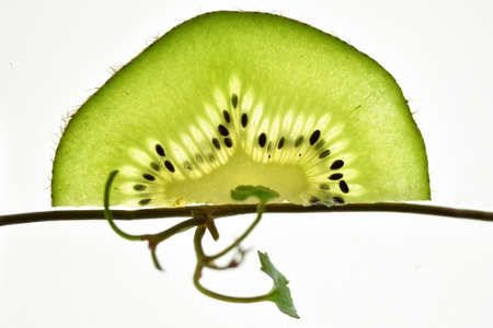 Close-up of a cut kiwi. Fresh fruit.の写真素材