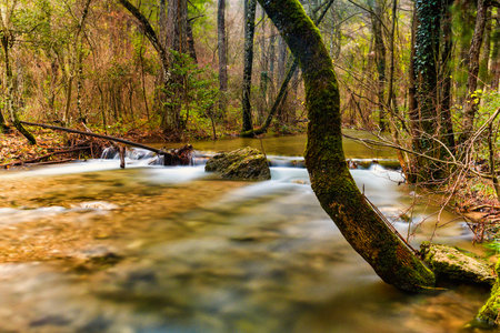 Water course between trees and rocks.の写真素材
