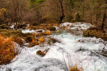 Water course between trees and rocks.の写真素材