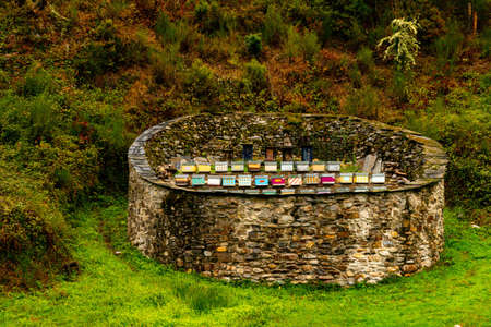 Muniellos comprehensive natural reserve in Asturiasの写真素材