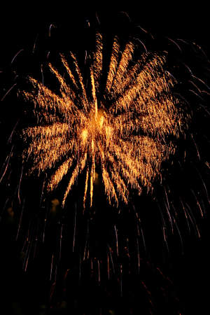 Fireworks burst in the night sky.の写真素材