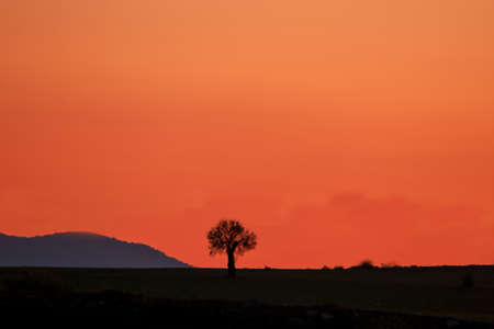 Majestic sunset in the mountains landscapeの写真素材