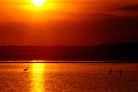 Magnificent sunset in the landscape of the swamps.の写真素材