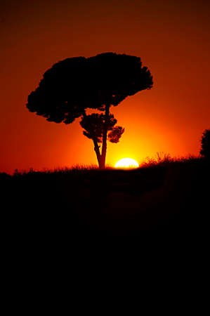 Majestic sunset in the mountains landscapeの写真素材
