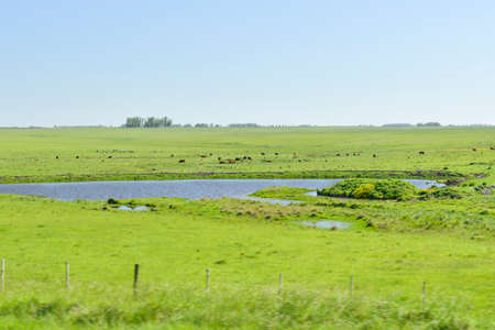 Typical landscape through the Uruguayan prairiesの写真素材