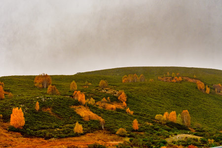 Rural landscapes in the interior of Asturiasの写真素材