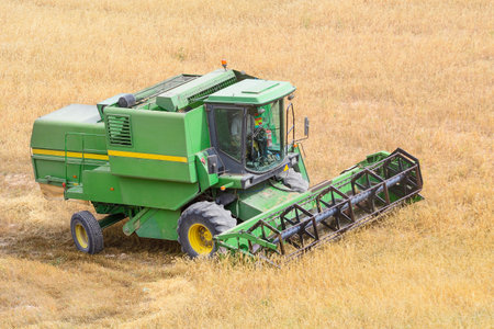 Photo of combine harvester that is harvesting wheat with dust straw in the air.