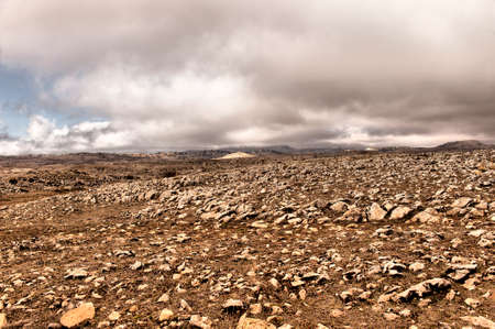 Natural and National Park of Andalusia - Spain.の写真素材