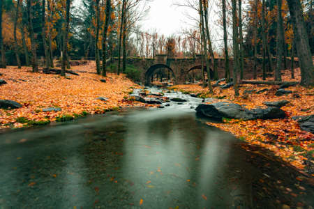 Natural river of water that flows permanently.の写真素材
