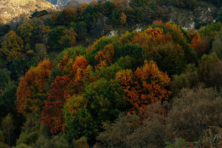 Mirador de Seguencu en Cangas de Onis
