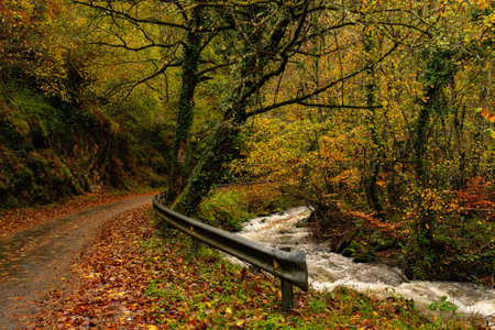 Course of the Narcea River in Asturias.