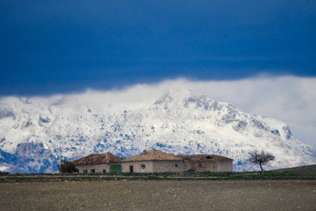 Landscape of the cereal pasture of the Eastern Mountains - Granadaの写真素材