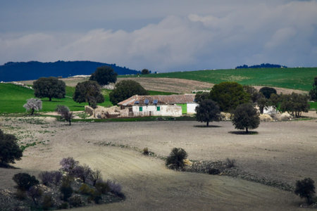 Landscape of the cereal pasture of the Eastern Mountains - Granada