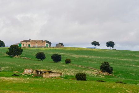 Landscape of the cereal pasture of the Eastern Mountains - Granadaの写真素材