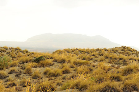 Last steppes in the fields of Granadaの写真素材