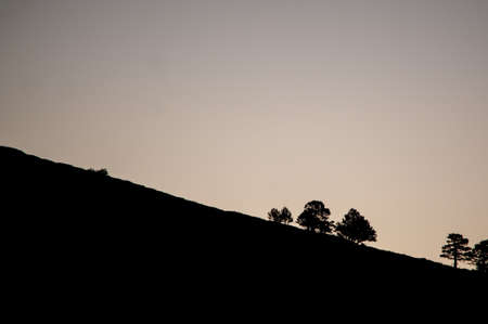 Silhouettes of pines in Calar de la Boleta in the Sierra de Baza Natural Park.の写真素材