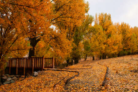 Autumnal trail in the Casas de Don Diego in the Sierra de Baza natural park.の写真素材