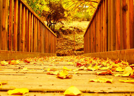 Autumnal trail in the Casas de Don Diego in the Sierra de Baza natural park.の写真素材