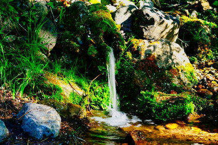 Outdoor fountains and drinking troughsの写真素材