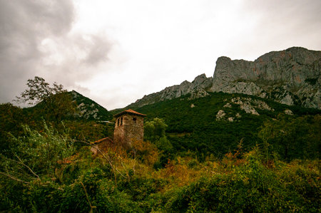 Landscape of the Natural Park in the interior