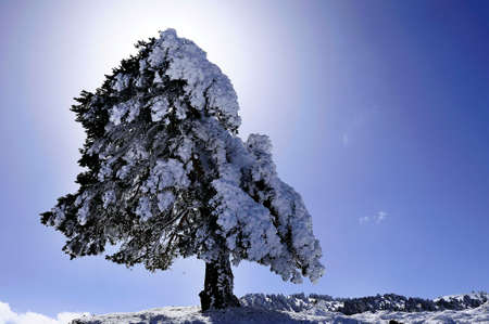 Snowy landscapes from the interior of Granada - Spainの写真素材