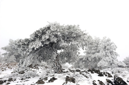 Snowy landscapes from the interior of Granada - Spain