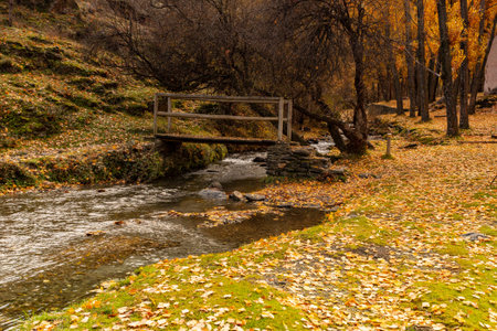 Typically autumnal landscape in the Andalusian fields.
