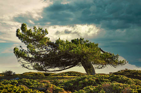Sierra de Baza Natural Park in Granada, Andalusia - Spain.の写真素材