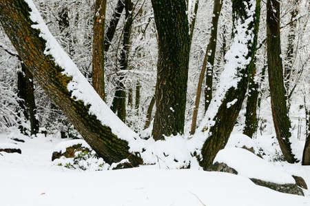 Sierra de Baza Natural Park in Granada, Andalusia - Spain.の写真素材