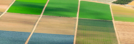 Landscape of the cultivated fields of Huescar, Granada.
