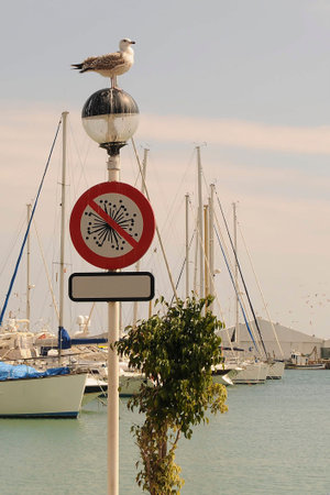 Estepona Marina and fishing port in Malaga, Andalucia.の写真素材