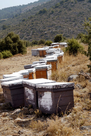 Bee hives, in the high mountains, elaboration of the rich honey.の写真素材