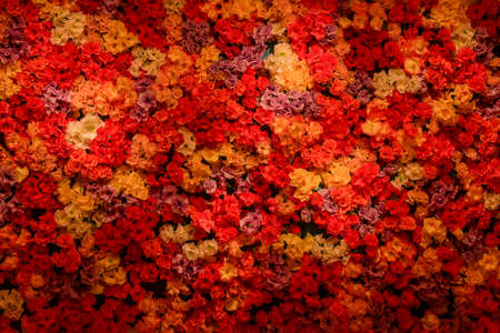 Abstract background. Soft color abstract background for web design, poster, banner.の写真素材