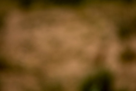 Abstract background. Soft color abstract background for web design, poster, banner.の写真素材