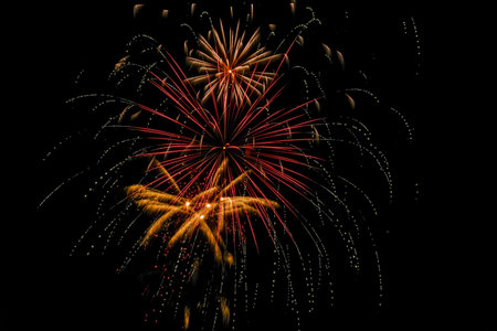 Colorful fireworks exploded in the night sky