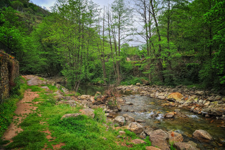 A charming old stone bridge arches over a clear stream surrounded by lush green trees and vegetation in a forest setting.の写真素材