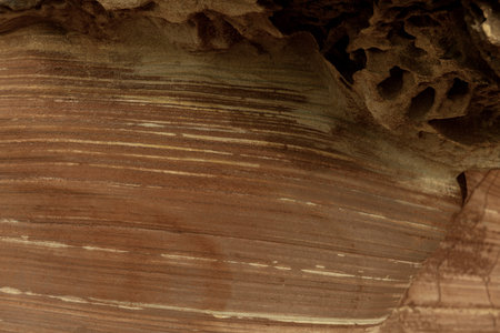 Detailed close-up of a weathered sandstone rock formation showing natural textures and layers. Ideal for backgrounds, nature themes, and geological studiesの写真素材
