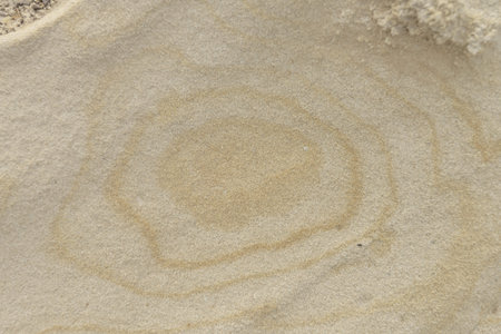 Close-up of a smooth sandstone surface featuring subtle natural patterns and textures. Perfect for...