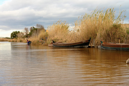A solitary blue boat lies abandoned among tall reeds on the muddy banks of a brown water riverの写真素材