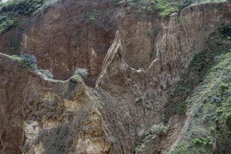 View of an eroded cliffside surrounded by lush green forest near Portimao, Portugal. The dramatic geological features contrast with the dense vegetation.の写真素材