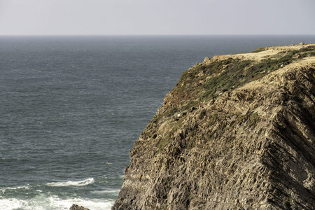 Goats Grazing on Coastal Cliffside with Ocean View