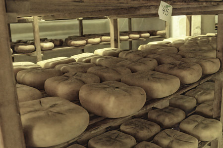 An inside view of a cheese aging room in Menorca, Spain, showing shelves filled with wheels of cheese maturing over time.の写真素材