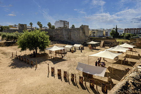 The scene includes tents, shields, and various reenactors, providing an immersive historical...