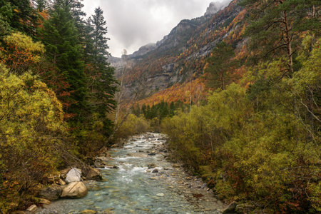 Crystal-clear river winding through a forested valley, with dramatic cliffs and mist creating a serene natural scene.の写真素材