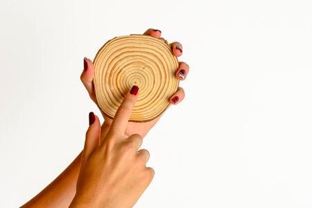 hands of a young woman holding a slice of wood, white backgroundの写真素材