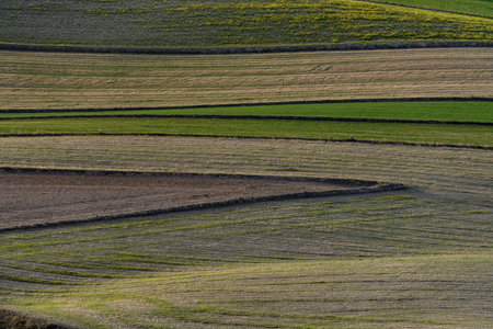 Close-up view of farmland revealing the beautiful abstract patterns of striped plowed and planted...